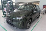 探店A10/星愿/海鸥/MG4/QQ3，谁在成都更受欢迎