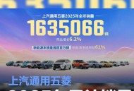 上汽通用五菱2025年累计销量超163.5万辆 同比增长6.2%