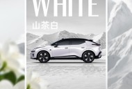 全新领克20推出三款新车色 全系标配800V+6C快充