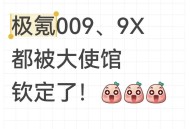 极氪009、9X都被大使馆钦定了！